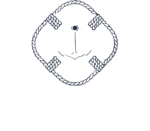 Bruno Sforni Insurance & Reinsurance Logo